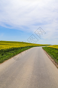 南欧北部有田地的乡村道路景色很美车道小路人行道草地远足农业运输曲线蓝色地平线图片