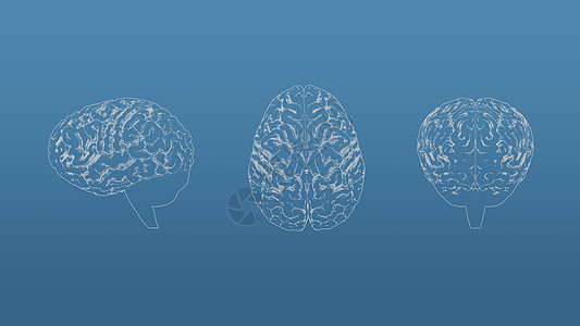 大脑在蓝色背景上的 3d 蓝图网格模型 前视图正交和透视自由样式 render3d renderin图片