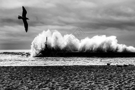 巨大的波浪冲破断裂水和灯塔气候飓风海洋支撑天空海滩休息海浪戏剧性碰撞图片