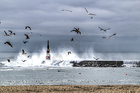 巨大的波浪冲破断裂水和灯塔码头灾难海鸥天空海浪风暴海岸飓风海景美丽华图片