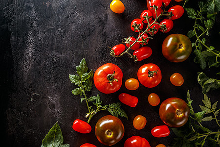 新鲜红番茄树叶黑色叶子食物蔬菜静物绿色作品黄色饮食图片