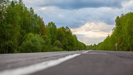 在森林中间有标记的乡村公路 林中场景太阳沥青旅行日落蓝色国家划分腹部小路图片