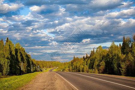 在森林中间有标记的乡村公路 林中车道沥青腹部林地木头阳光场景划分天空旅行图片