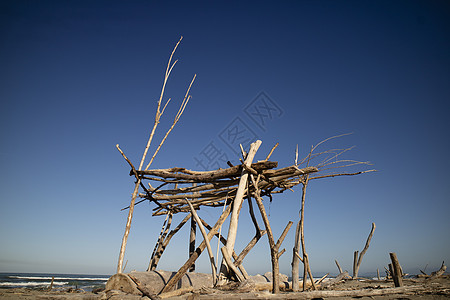 意大利Viareggio自由海滩上的木制建筑免费太阳木头房子建筑学旅游假期荒野庇护所海滩图片