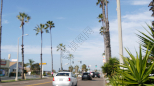101公路高速公路上的棕榈树 太平洋海岸 美国加利福尼亚州海滨 Suburb路交叉口图片