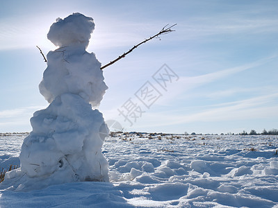 冬季风景中真正的冰雪雪人帽子旅行幸福喜悦爬坡微笑男人季节雪堆云杉图片