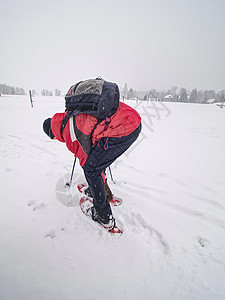 Snowshhoe在陆地上徒步登雪兜帽一代胡子潮人背包手套降雪雪鞋森林呼吸图片