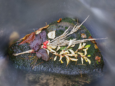 在小溪的石上撒落叶子和树叶橙子森林摄影石头蓝色苔藓波浪激流运动溪流图片