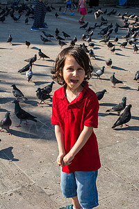 男孩走近鸽子群 以进食宠物幸福鸟类鸽子生活孩子们孩子种子飞行场景图片