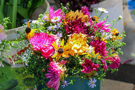 美丽的花束花植物群花瓣雏菊植物绣球花花朵叶子蝴蝶礼物陶器图片