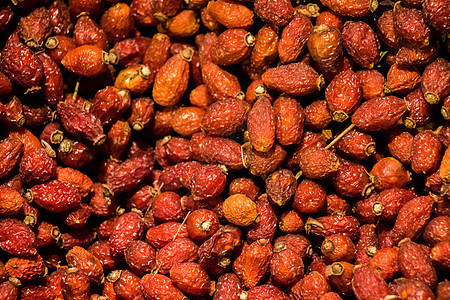玫瑰花果实的狂野果子 来泡香花茶药品饮食树叶红色福利营养康复厨房荒野防御图片