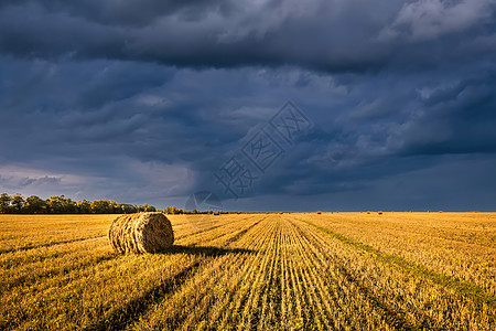 秋天有一片干草堆 阳光照亮 天空中云彩雨笼罩地平线土地农业小麦风景植物圆圈收成场地蓝色图片
