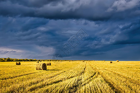 秋天有一片干草堆 阳光照亮 天空中云彩雨笼罩植物日落风景蓝色小麦稻草草地食物收成场地图片