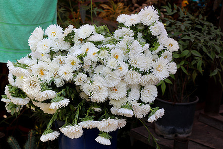 美丽的菊花花束花束绣球花花瓣歧义红色白色雏菊绿色植物植物群蝴蝶图片