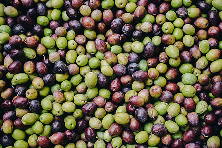 作为市场上健康食品的新收集的橄榄作为市场卫生食品水果处女小吃植物叶子饮食树叶营养烹饪食物图片