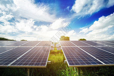 蓝天背景下的太阳能电池板替代能源概念 清洁能源 绿色能源反射商业技术科学植物阳光集电极农场天空细胞图片