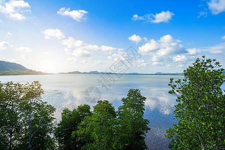 泰国清布里省的森林红树林和海洋地平线上海面海岸国家地平线太阳晴天海景假期旅行蓝色人行道图片