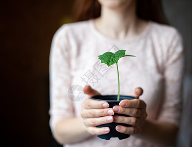 这女孩拿着黑锅 在一个深黑的背角上种着绿植物女性新生活园丁叶子女士爱好花盆地球蔬菜孩子图片