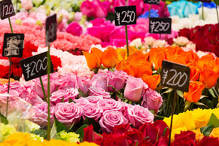 花朵种类繁多 例如玫瑰 明美南巴的郁金香 大阪 日本等图片