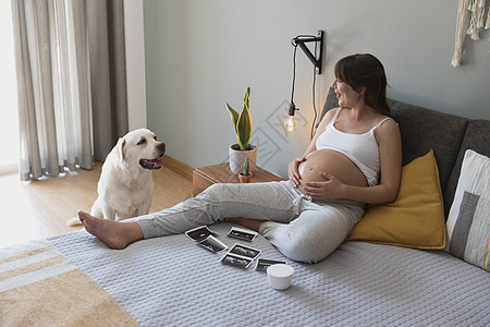 女人告诉狗狗 他要有个弟弟了孩子幸福母性腹部产妇妈妈女性女士父母新生活图片
