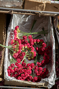 塑料假花七彩花婚礼礼物墙纸叶子花瓣装饰品花瓶庆典花圈植物群图片