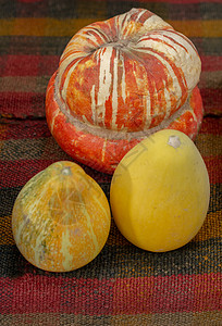 两个小南瓜一个橙南瓜和两个小黄南瓜收成黄色橙子农场食物季节性假期市场南瓜季节背景