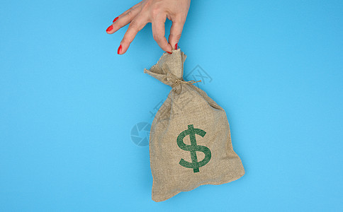 手手里握着一袋满是钱的帆布袋 蓝色背景上印有美元图标图片