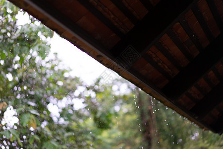 雨从屋顶降下 背景为bokoh下雨细流墙纸房子生活欢呼流动液体天气风暴图片