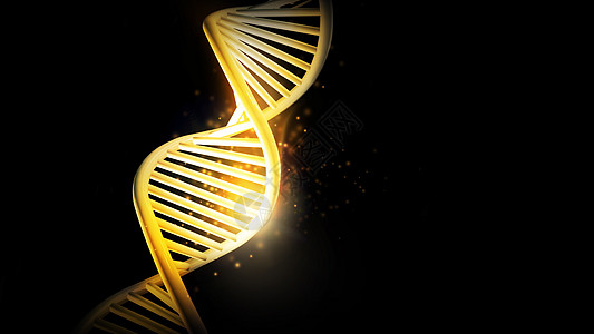 金色的DNA模型 在黑色背景 3D转化图片