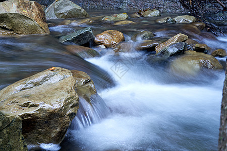 山河 含模糊水的河流紧闭流动自然森林环境浅滩场景流量风景石头运动图片