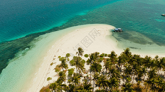有沙滩的热带岛屿 巴拉巴克 菲律宾帕拉万棕榈天堂蓝色风景环礁旅游景观鸟瞰图假期天线图片