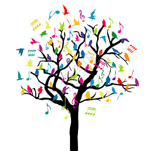 彩色鸟类和音符在 tre 上的音乐概念图片