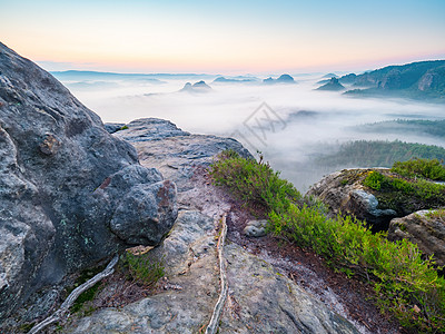 迷雾惊醒了暗雾的风景 日出时相照 清晨雾密图片