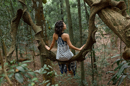女孩坐在丛林中一棵巨大的莲花树枝上旅行雨林女士荒野女性情调木头公园植物树干图片