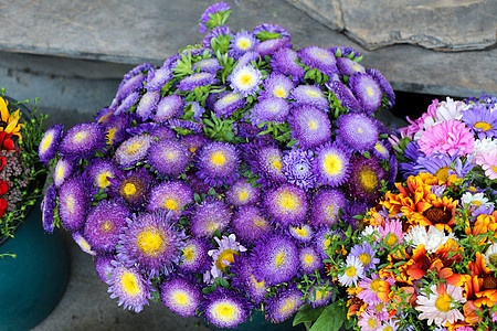 美丽的花束花粉色花朵叶子花瓣绣球花陶器白色红色花瓶歧义图片