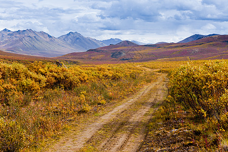 秋色墓碑领土公园加拿大育空地形领土风景自由环境旅游荒野冒险旅行地区图片