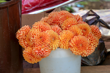 巴西野牡丹美丽的花束花白色花瓶粉色花朵红色植物绿色花瓣绣球花蝴蝶背景