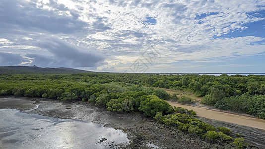 低潮农村溪的空气森林天线海岸蓝色树木旅游海洋土地反思天空图片