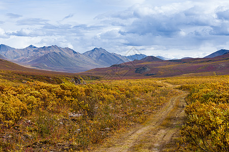 秋色墓碑领土公园加拿大育空颜色旅游旅行地形公园领土假期荒野风景刷子图片
