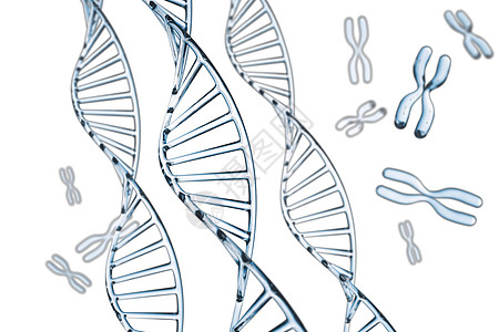 抽象背景 带 X 染色体的 DNA 分子生物学基因插图螺旋遗传细胞实验室技术医疗生物图片