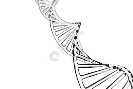 抽象背景 带 X 染色体的 DNA 分子细胞技术基因生物螺旋生活插图蓝色化学实验室图片