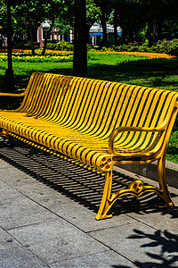 巴统新大道上的金属板凳玉兰振作长椅公园图片