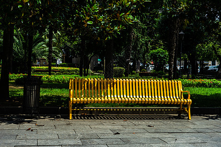 巴统新大道上的金属板凳玉兰振作公园长椅图片
