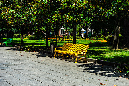 巴统新大道上的金属板凳玉兰长椅振作公园图片