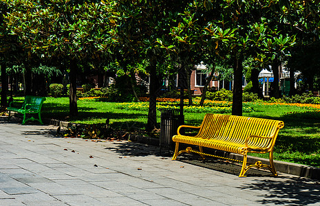 巴统新大道上的金属板凳长椅振作公园玉兰图片