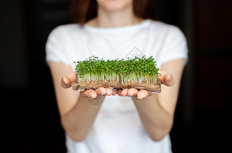 妇女手里握着在家里种植的微绿树 由她掌握女士向日葵植物生物园艺花园幼苗农业饮食沙拉图片