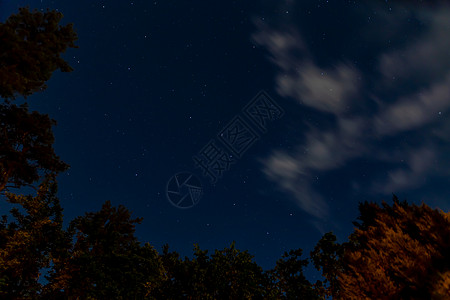 蓝色的夜空 星星和白色的移动云宇宙星座星系科学树木火花星云墙纸月亮乳白色图片