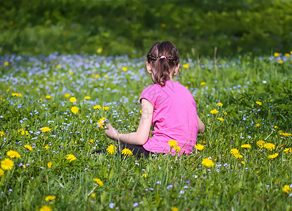 一个女孩在绿春草原上 阳光下有很多野花 孩子探索自然的大自然图片