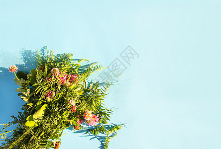 阳光下蓝面画背景的夏季野生花图片