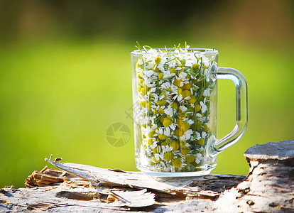 杯子里的甘菊花植物生活饮料花朵叶子家庭食物雏菊药品草本植物图片